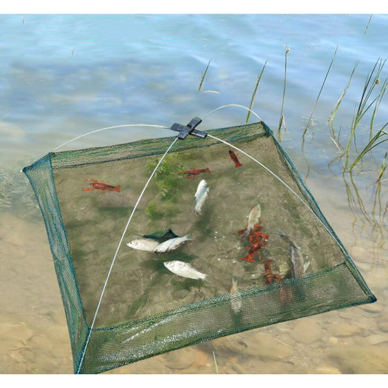 Drop Fishing/Landing Net Crayfish/ Catcher Casting Network Mesh Cage, Size: 60x60cm, Green