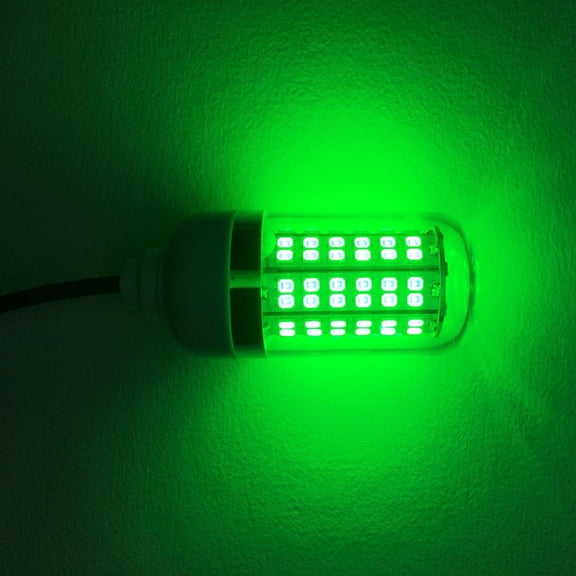 Drop Fishing Light, 12V LED Submersible Underwater Fishing Lamp, Portable Bait Fish Finder Light for Boat Dock Pier