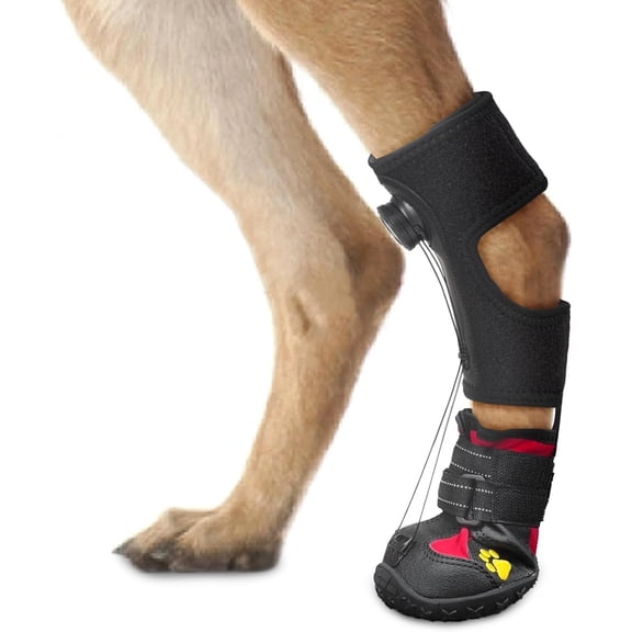 Drop Foot Brace with Reel(No Knuckling Boot Brace) for Dog - Corrective Dog Shoes to Safely Lift Toes for Foot Issues, Arthritis, and improving Walking gait in Dogs (XL)