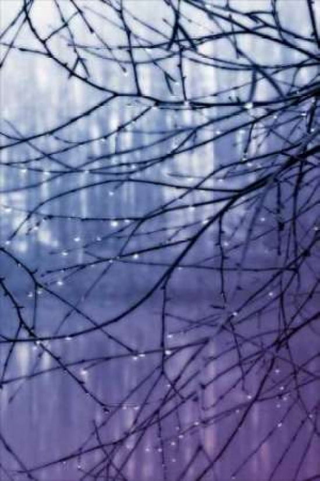 Droplets I Canvas Art - Alan Hausenflock (24 x 36)