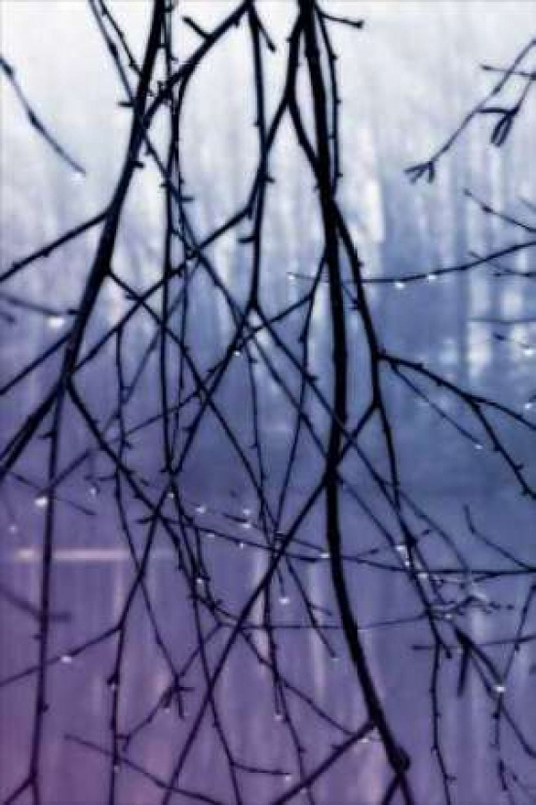 Droplets II Canvas Art - Alan Hausenflock (12 x 18)