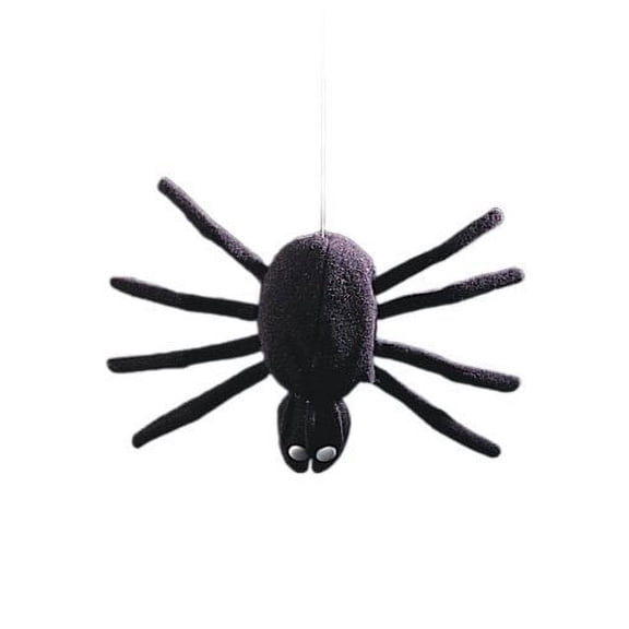 Dropping Dan Spider