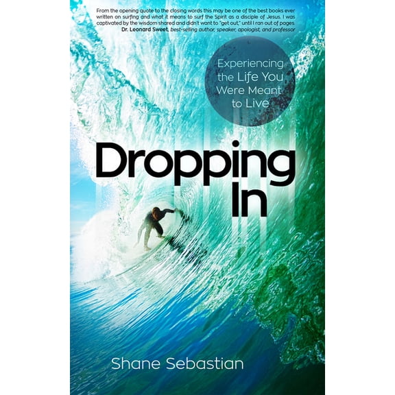 Dropping In : Experience the Life You Were Meant to Live (Paperback)