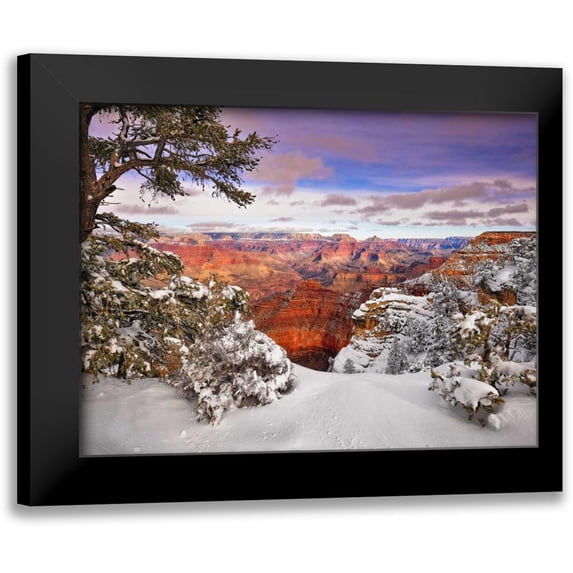 Drost, David 14x12 Black Modern Framed Museum Art Print Titled - Snowy Grand Canyon II