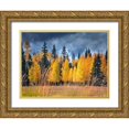 thumbnail image 1 of Drost, David 14x12 Gold Ornate Wood Framed with Double Matting Museum Art Print Titled - Through the Yellow Trees I, 1 of 4