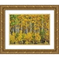 thumbnail image 1 of Drost, David 14x12 Gold Ornate Wood Framed with Double Matting Museum Art Print Titled - Yellow Woods III, 1 of 4