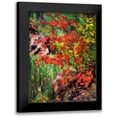 thumbnail image 1 of Drost, David 15x18 Black Modern Framed Museum Art Print Titled - Peaceful Woods I, 1 of 5