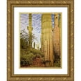 thumbnail image 1 of Drost, David 15x18 Gold Ornate Wood Framed with Double Matting Museum Art Print Titled - Cacti View IV, 1 of 4