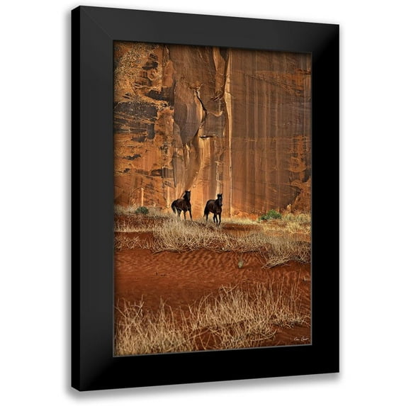 Drost, David 17x24 Black Modern Framed Museum Art Print Titled - Custom Canyon Dewellers (ASH)