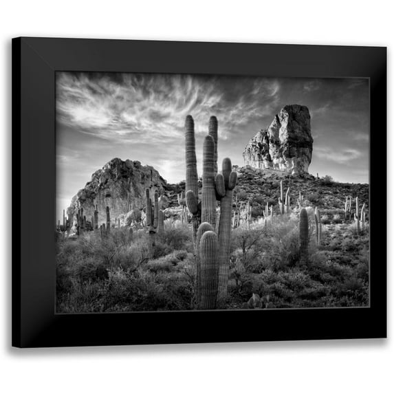 Drost, David 18x15 Black Modern Framed Museum Art Print Titled - BandW Desert View I