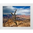 thumbnail image 1 of Drost, David 18x15 White Modern Wood Framed Museum Art Print Titled - Canyon View V, 1 of 4