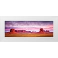 thumbnail image 1 of Drost, David 24x11 White Modern Wood Framed Museum Art Print Titled - Pink Morning Glory V, 1 of 4