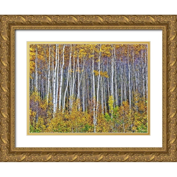 Drost, David 24x19 Gold Ornate Wood Framed with Double Matting Museum Art Print Titled - Yellow Woods I