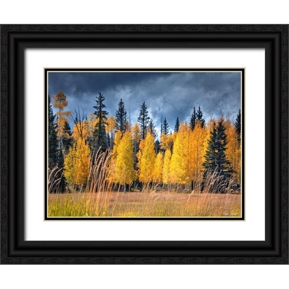 Drost, David 32x25 Black Ornate Wood Framed with Double Matting Museum Art Print Titled - Through the Yellow Trees I