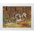 thumbnail image 1 of Drost, David 32x25 White Modern Wood Framed Museum Art Print Titled - Running Horses I, 1 of 4