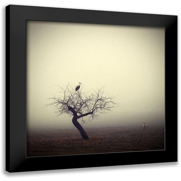 Droste 12x12 Black Modern Framed Museum Art Print Titled - Meeting in the Morning