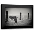 thumbnail image 1 of Droste, Holger 18x13 Black Modern Framed Museum Art Print Titled - The Day Of The Raven, 1 of 5
