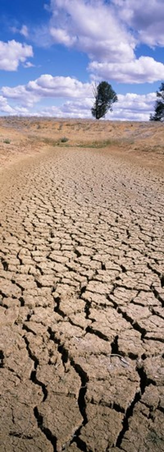 Drought Australia Canvas Art - Panoramic Images (18 x 7)