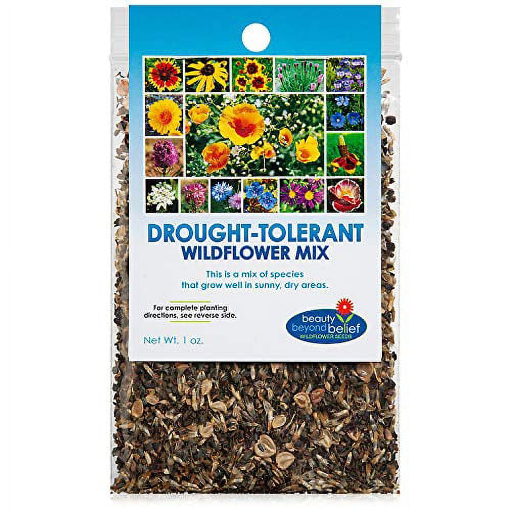 Drought Resistant Wildflower Seeds DHF10 1oz, OpenPollinated Bulk