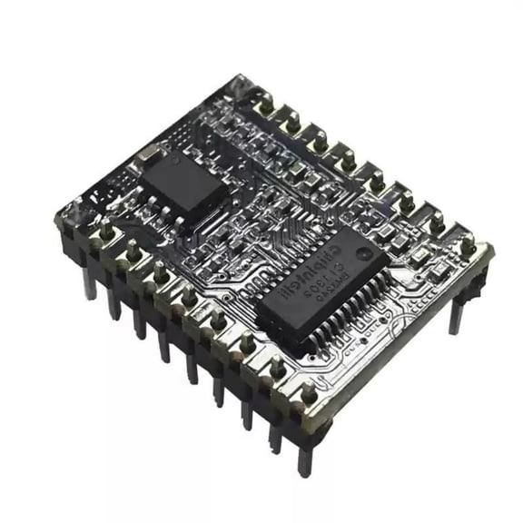 Drrntien CI1302 Voice Intelligent Speech Recognition Control Module Offline Recognition