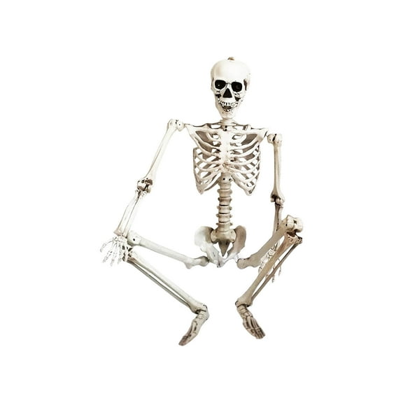Drses‌‌ 165cm Halloween Skeleton Prop Human Full Size Skull Hand Life Body Anatomy Model Decor