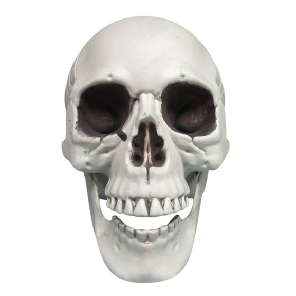 Drses Halloween Skeletons Plastic Realistic Fake Simulation Human Skull HeadBone Model Halloween Prop Realistic Mini Skeleton Spooky Halloween Decoration