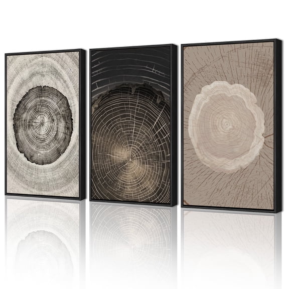 Drsoum 16x24in3pcs Black Framed Vintage Wood Tree Rings Wall Decor Farmhouse Rustic Framed for Office Dining Room Hallway Paintings Nature Artwork