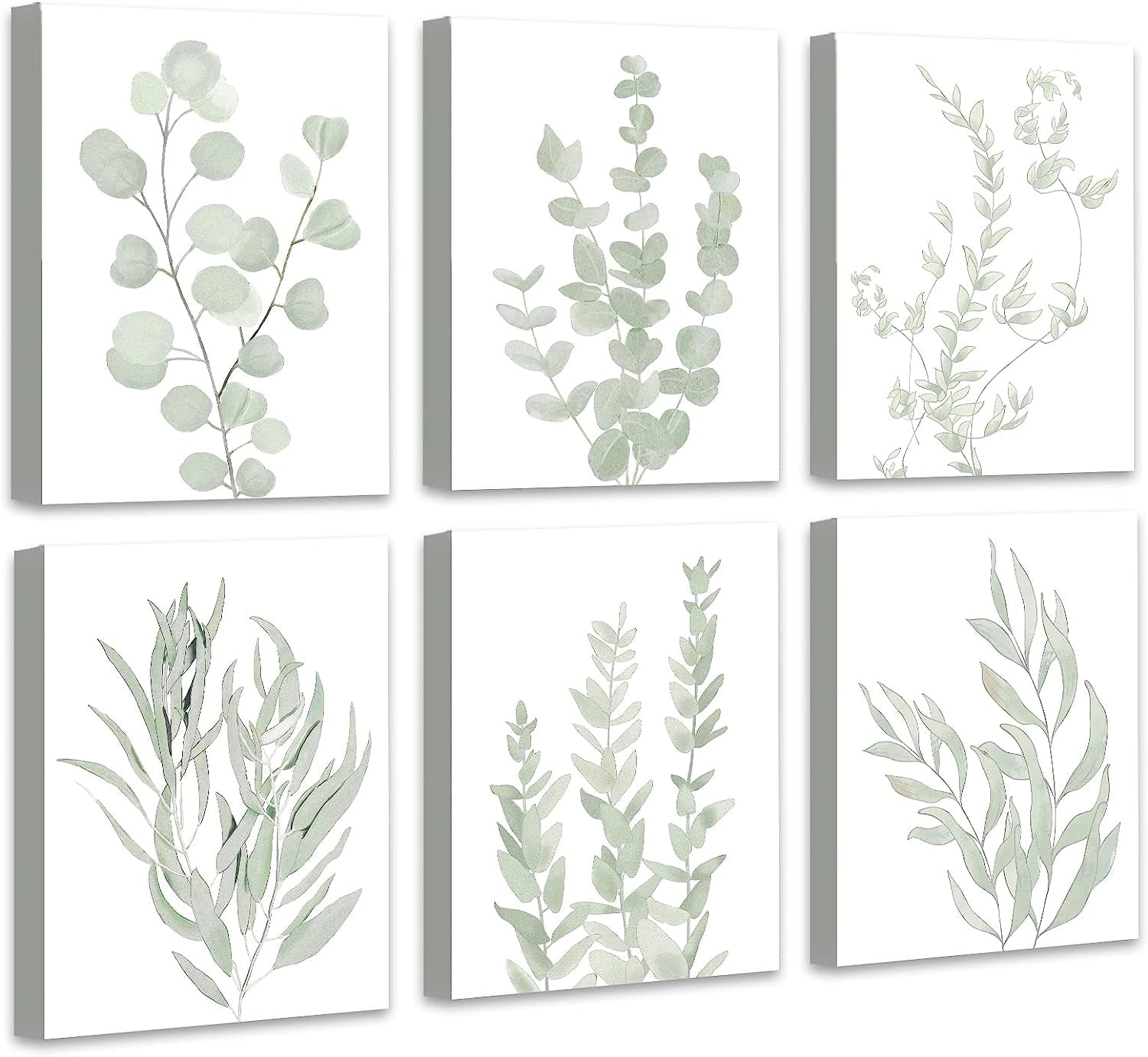 Light Green Botanical Eucalyptus Canvas Framed Wall Art Set of 6