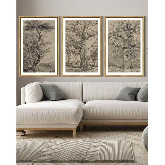 Drsoum Rustic Famehouse Wall Decor 16x24in3pcs Natural Framed Vintage Tree Art Painting for Office