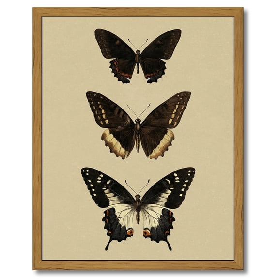 Drsoum Vintage Gold Butterfly Wall Art Bedroom Bathroom Shelf Retro Butterfly Illustration Room Decor Canvas Prints Antique Picture Frame Paintings Home Farmhouse Wall Decor 8x10in Brown Framed