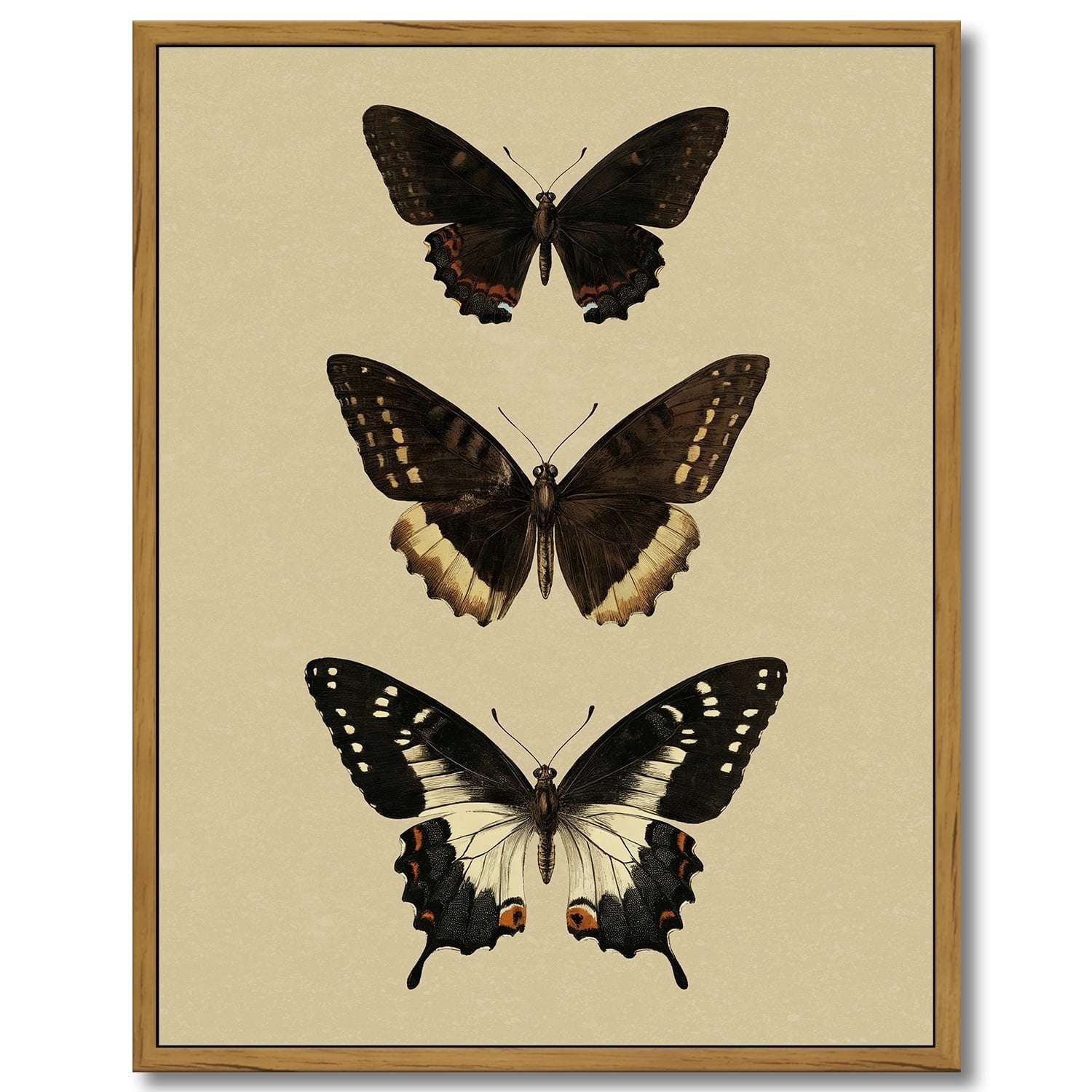 Drsoum Vintage Gold Butterfly Wall Art Bedroom Bathroom Shelf Retro Butterfly Illustration Room Decor Canvas Prints Antique Picture Frame Paintings Home Farmhouse Wall Decor 11x14in Brown Framed