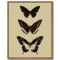 thumbnail image 1 of Drsoum Vintage Gold Butterfly Wall Art Bedroom Bathroom Shelf Retro Butterfly Illustration Room Decor Canvas Prints Antique Picture Frame Paintings Home Farmhouse Wall Decor 11x14in Brown Framed, 1 of 7