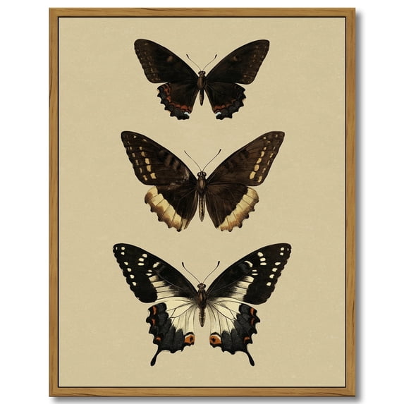 Drsoum Vintage Gold Butterfly Wall Art Bedroom Bathroom Shelf Retro Butterfly Illustration Room Decor Canvas Prints Antique Picture Frame Paintings Home Farmhouse Wall Decor 11x14in Brown Framed