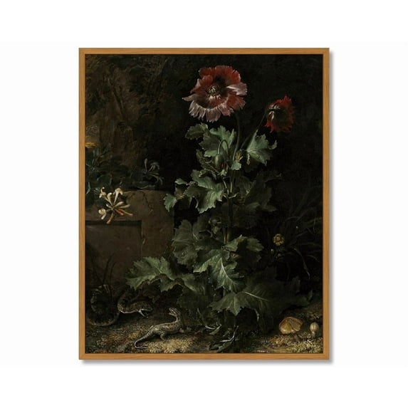 Drsoum Vintage Gothic Poppy Flower Wall Prints Classic Retro Farmhouse Rustic Floral Art Decorations for Living Room Kitchen 8x10in Natural Framed