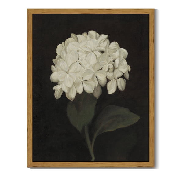 Drsoum Vintage Hydrangeas Wall Home Art Flower Classic Prints Modern Farmhouse Kitchen Hallway Office Decor 8x10in Natural Framed