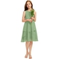 thumbnail image 1 of Drtj 2-14T Kids Junior Bridesmaid Wedding Dress A-line Scoop Knee-Length Chiffon Flower Girl Dresses, 1 of 6