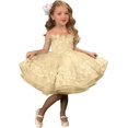 thumbnail image 1 of Drtj Girls' Short Flower Girl Dress with 3D Lace Appliques First Communion Pageant Dress Tulle Ball Gown for Weddings Parties (Sizes 2-16), 1 of 6