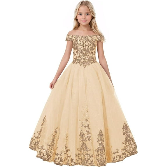 Drtj Off-Shoulder Flower Girl Dress Elegant Tulle Princess Pageant Dress with Lace Appliques First Communion & Wedding Dress for Girls (Ages 2-16)