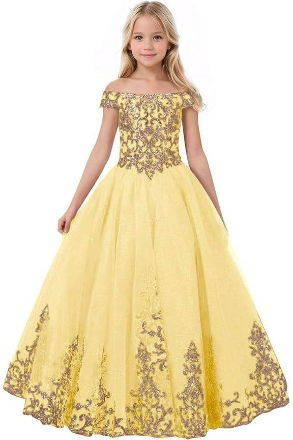 Off-Shoulder Flower Girl Dress Elegant Tulle Princess Pageant Dress with Lace Appliques First Communion & Wedding Dress for Girls (Ages 2-16)