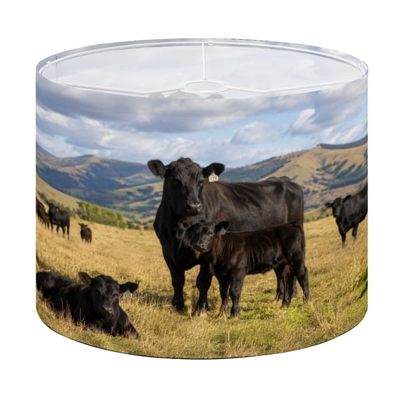 Drum Lamp Shade Black Angus Cattle Spring Lampshade for Table Lamps Floor Lamps Pendant Light 13"x13"x10" Replacement Linen Large Lamp Shade Easy Assembly