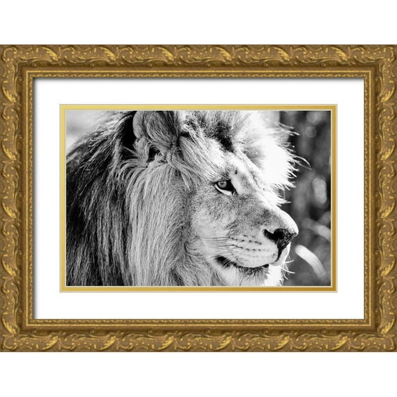 Drummond, Max 32x23 Gold Ornate Wood Framed with Double Matting Museum Art Print Titled - Majestic