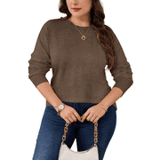 Drvitor Plus Size Sweaters for Women Crew Neck Basic Solid Color Lightweight Fall Sweater Pullover Tops, Sizes XL-5XL