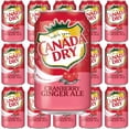 thumbnail image 1 of Dry Cranberry Ale Soda, 12 Fl Oz, 15 Cans (Cranberry), 1 of 4