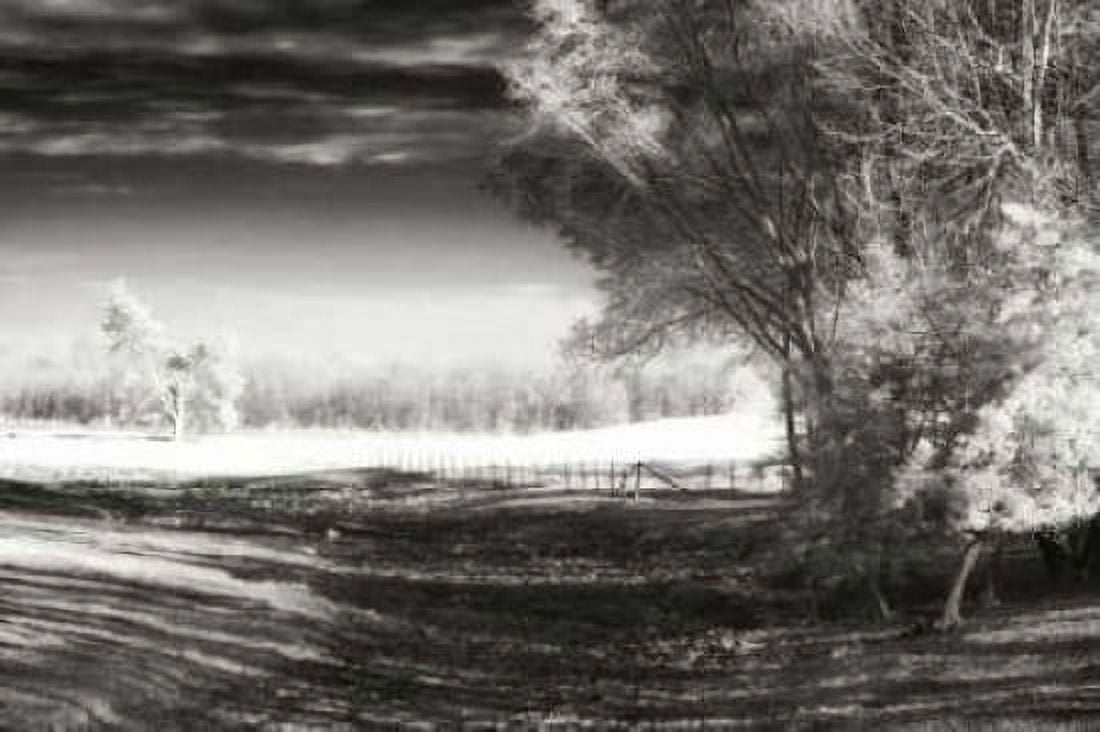 Dry Creek II Canvas Art - Alan Hausenflock (20 x 28)