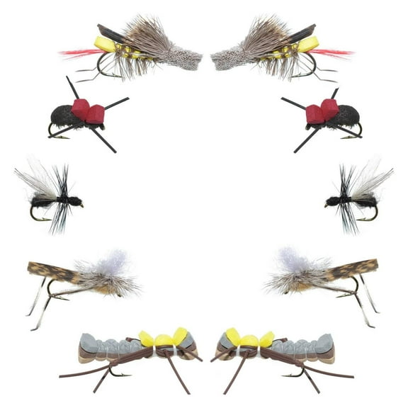 Dry Fly Fishing Assortment - 10 Terrestrial Flies - Trout Bass Panfish - Sizes 10, 12, 14 - Fly Fishing Place Collection Assorted Terrestrial Fly Colors Hook Sizes 10, 12, 14