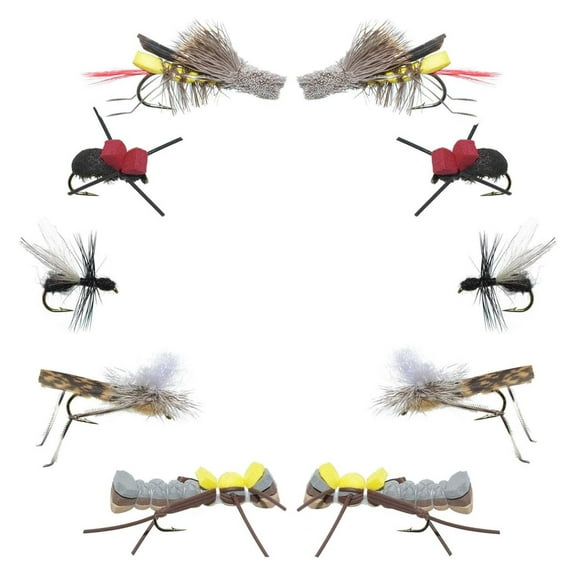 Dry Fly Fishing Assortment - 10 Terrestrial Flies - Trout, Bass, Panfish - Sizes 10, 12, 14 - Fly Fishing Place Collection