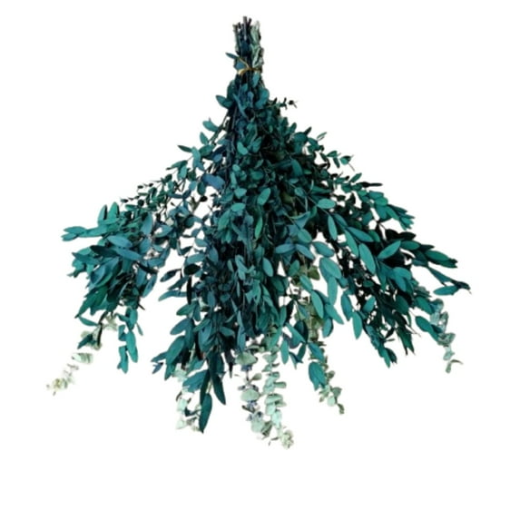 Dry Hanging Eucalyptus Stems 16PCS-17in Natural Smell Eucalyptus for Shower Hanging, Wedding Decor Home Decor Farmhouse Decor DIY Spring Decor