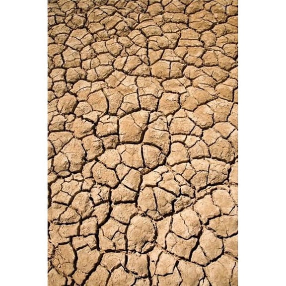 Dry Irrigation Pond Strzelecki Track Outback South Australia Australia Poster Print by David Wall