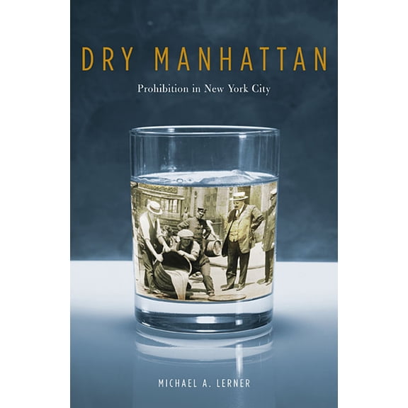 Dry Manhattan: Prohibition in New York City (Paperback)