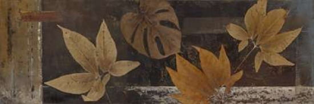 Dry Nature I Canvas Art - Patricia Pinto (12 x 36)